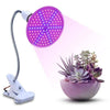 Image of Full Spectrum LED Grow Lights
