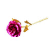Image of pink golden rose